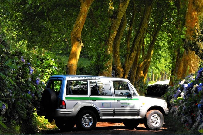 Explore Nordeste - The Wilderness Nature Jeep Tour - What to Bring