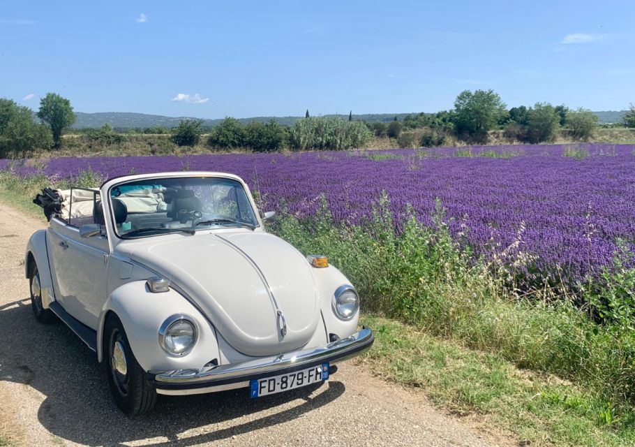 Explore Provence in a Beetle! - Scenic Routes in Provence