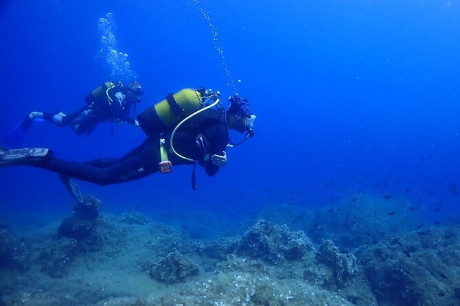 Explore Worlds Largest Plane Wreck by Scuba Diving in Kusadasi - Pricing Information