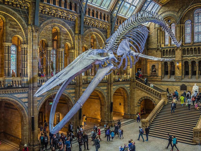 Exploring Londons Natural Marvels: Museum Adventure - Expert Guided Insights