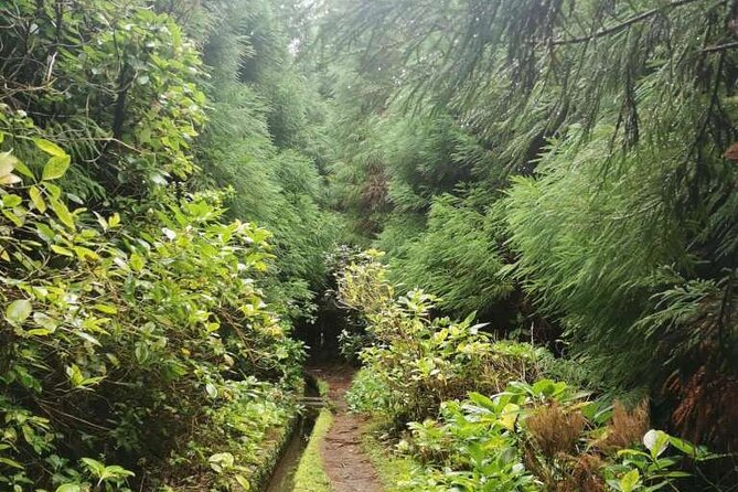 Faial Island Private Levada Hiking Tour - Additional Booking Information