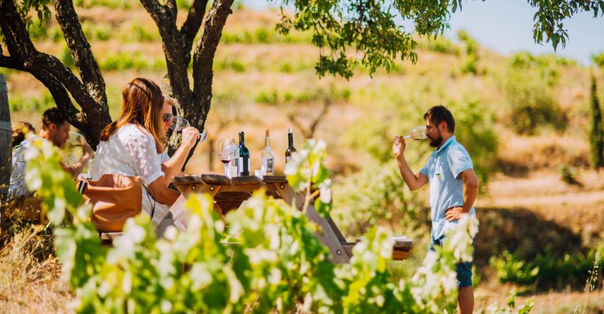 Falset: Guided Wine Tour to the Priorat by a Local - Sustainable Travel Option