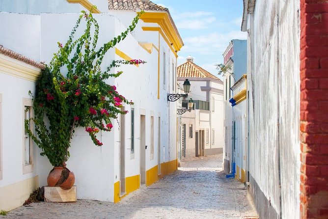 Faro Walking Tour: Uncover the City's Architectural Legacy - Pricing Details