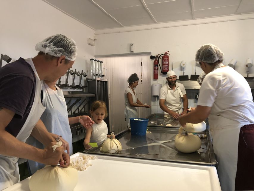 Ferreries: Cheesemaking and Farm-Fresh Product Tasting - Provider: Timonfaya Travel Lanzarote