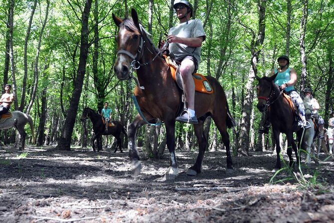 Fethiye Horse Riding Experience With Free Hotel Transfer Service - Additional Information