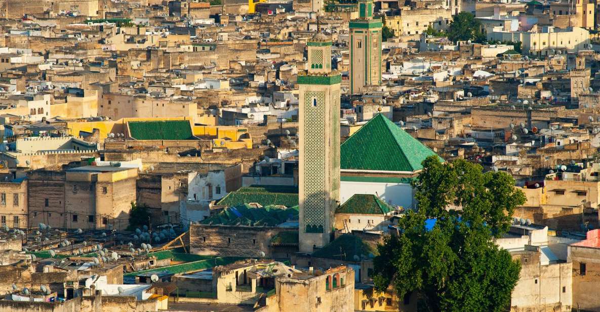 Fez: Half-Day Sightseeing Tour - Medina Exploration With Guide