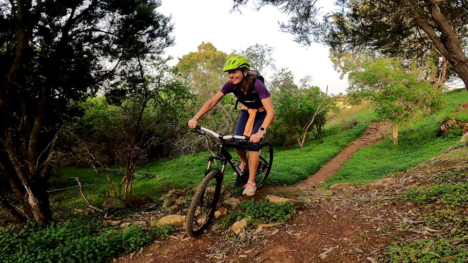 Firgas: Gran Canaria Forest Mountain Bike Tour - Activity Description