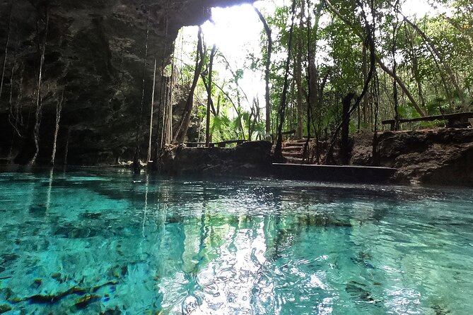 Five Cenotes Jungle Experience in the Riviera Maya - Tour Guide Fabio