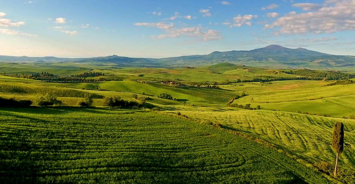 Florence: Chianti, Montalcino & Montepulciano Private Tour - Itinerary and Activities