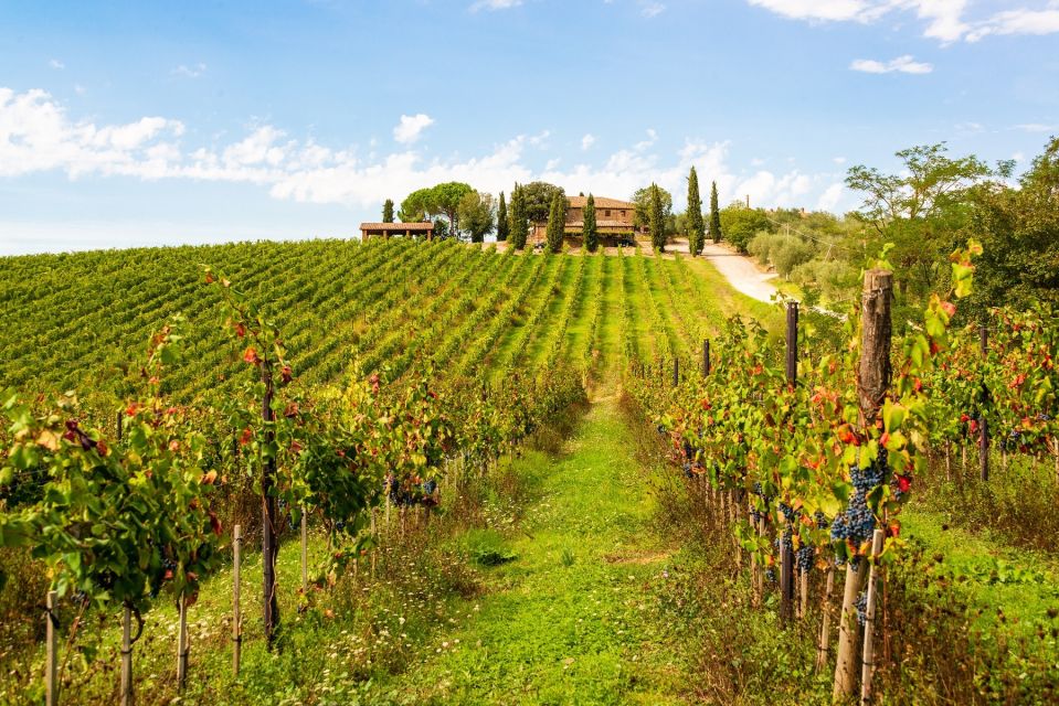 Florence: Private Full Day Tour to Chianti Wine Region - Inclusions