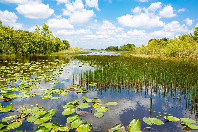 Florida Everglades Airboat Adventure Plus Miami Biscayne Bay Cruise - Reviews and Feedback