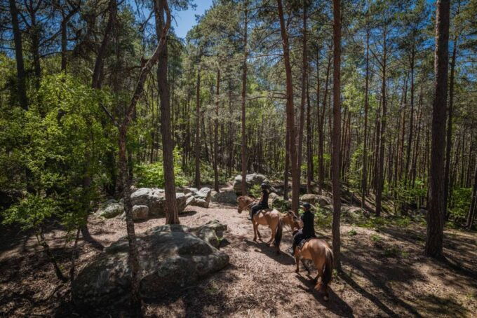 Fontainebleau : Horse-riding, Gastronomy & Château - Inclusions