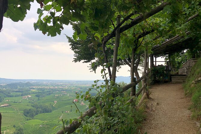 Food and Wine Tour on the Prosecco Hills From Venice - Scenic Views