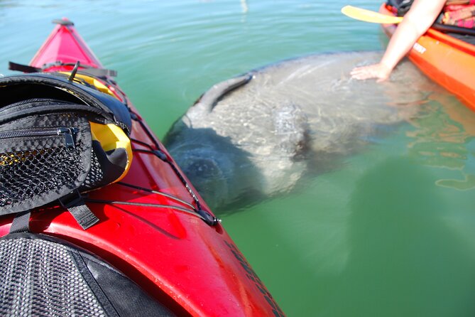 Fort Lauderdale's Tropical Kayak Tour and Island Adventure - Meeting and Pickup Details