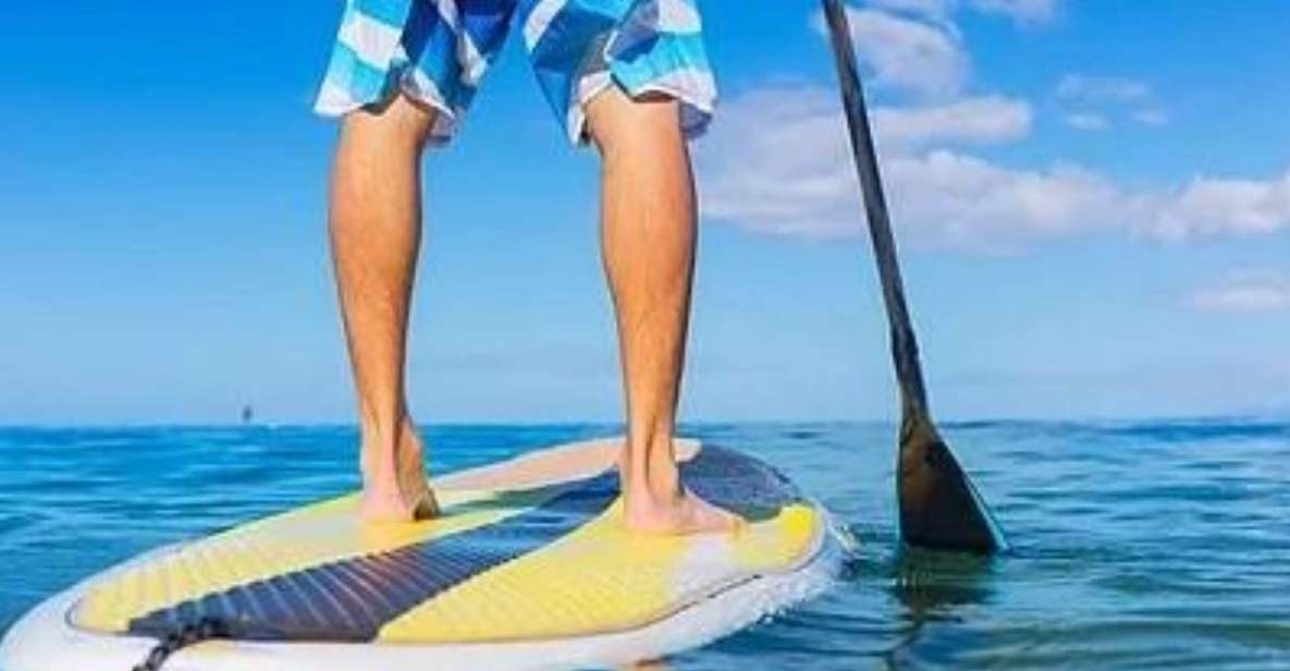 Fort Walton Beach: Paddle Board Rental - Full Description