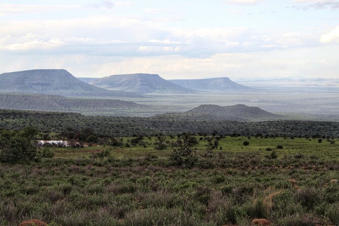 Four-Day South Africa Safari: Addo Park to Karoo  - Port Elizabeth - Guided Tours and Education