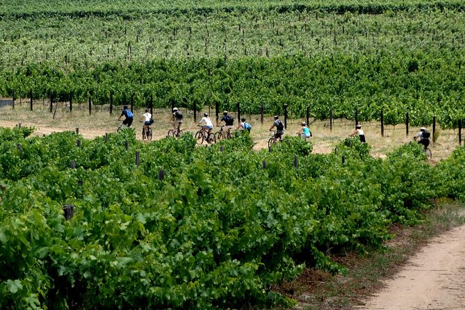 Franschhoek Winelands Luxury EBike Tour - Winery Experiences