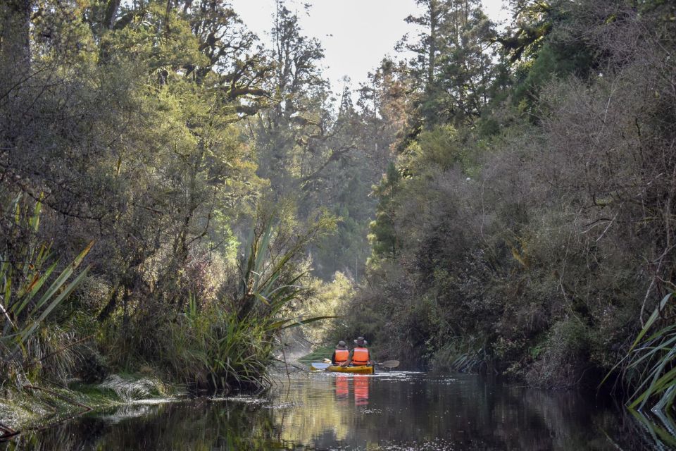 Franz Josef: 3-Hour Kayak Tour on Lake Mapourika - Customer Reviews