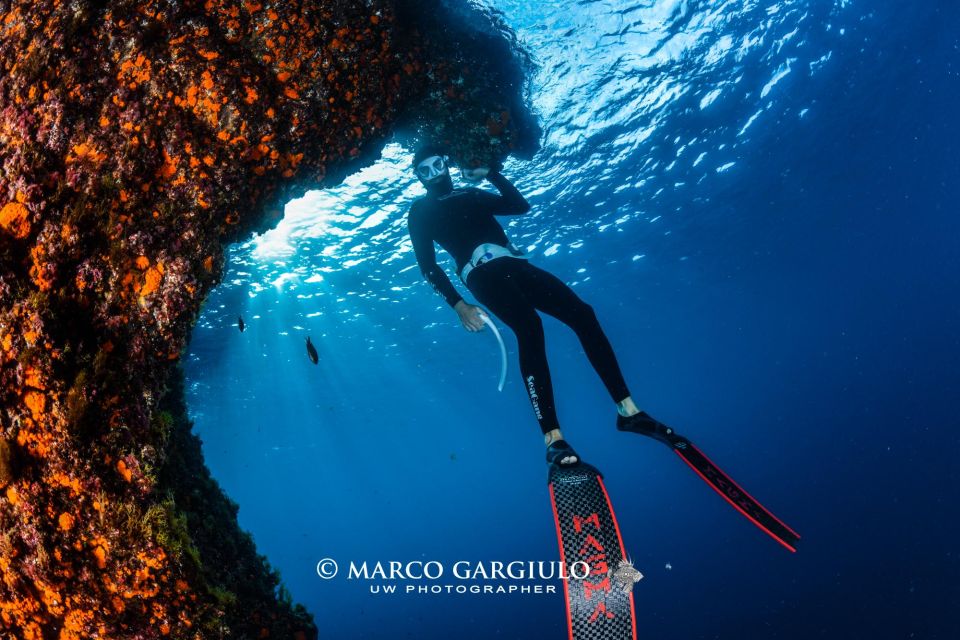 Freediving in the Wild of the Amalfi Coast/Capri/Sorrento: - Inclusions