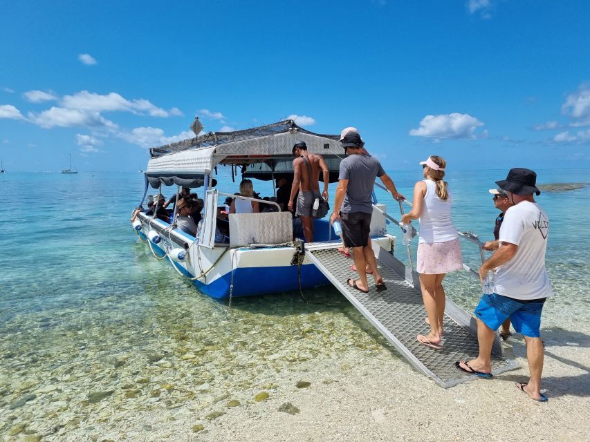 From 1770: Lady Musgrave Island Snorkelling Day Cruise - Customer Reviews