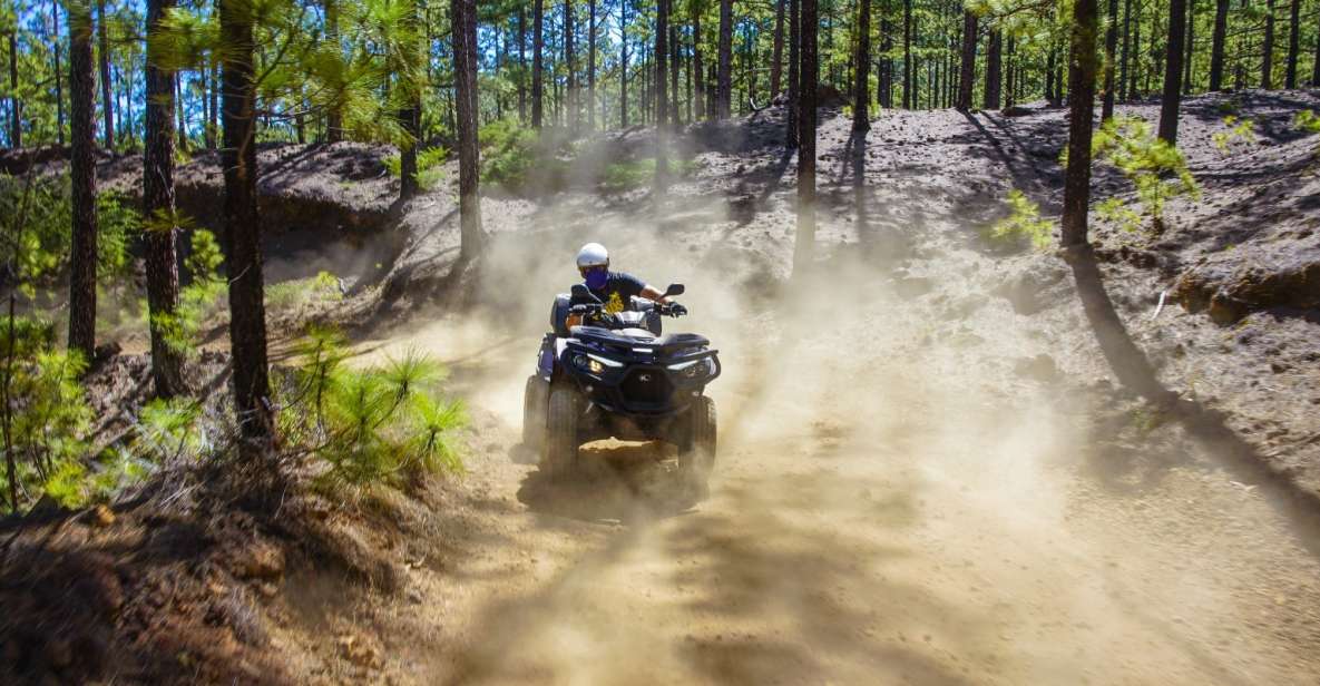 From Adeje: Mount Teide Forest Off-Road Quad Bike Tour - Full Tour Description