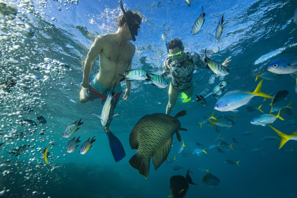 From Airlie Beach: Langford Island Sailing Trip W/ Snorkel - Langford Island Exploration