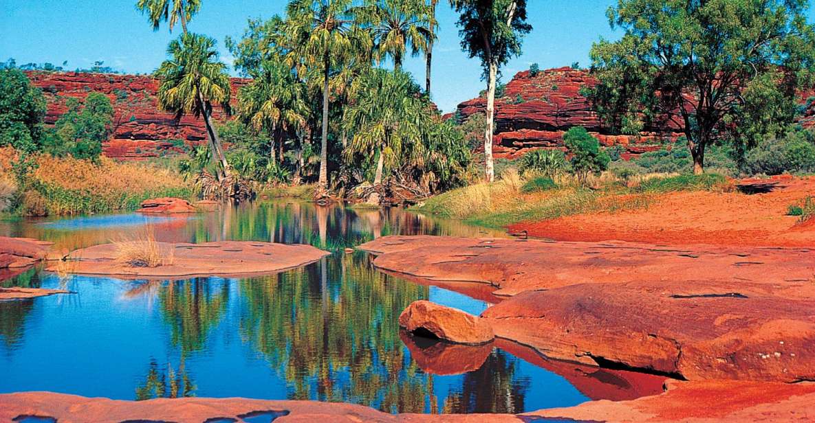 From Alice Springs: Palm Valley 4WD Outback Safari + Picnic - Inclusions and Important Information