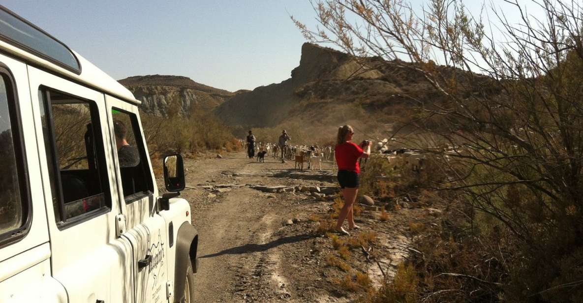 From Almeria: Tabernas Desert 4WD Tour - Booking Information