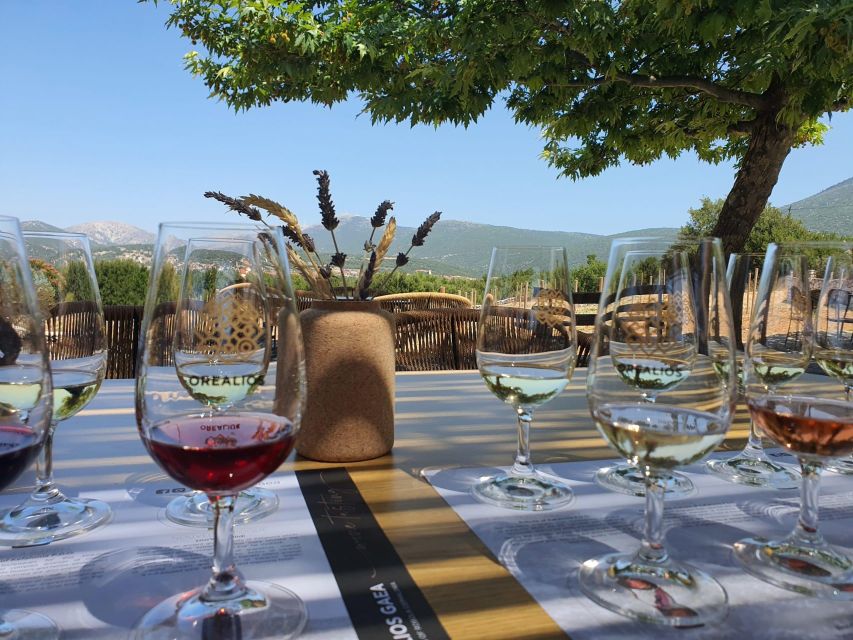 From Argostoli: Private Wine Tasting & Vineyard Tour - Important Information