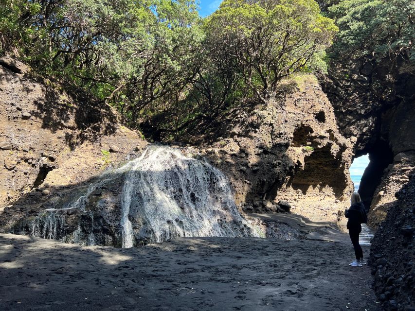 From Auckland: Guided Tour of Piha With Scenic Beach Walks - Detailed Description