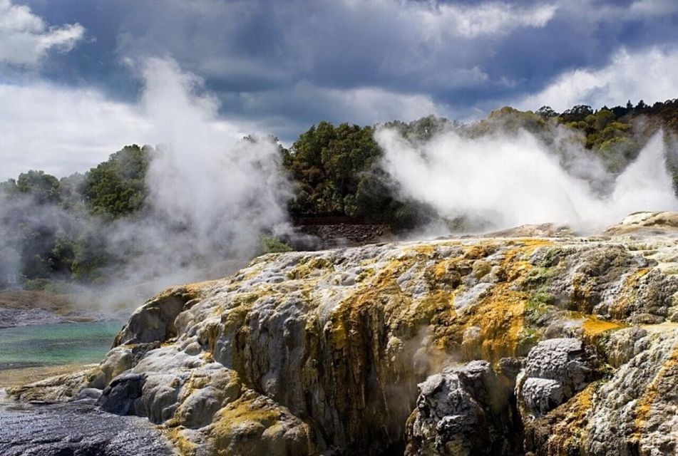 From Auckland: Rotorua Māori Village & Polynesian Spa Tour - Full Description