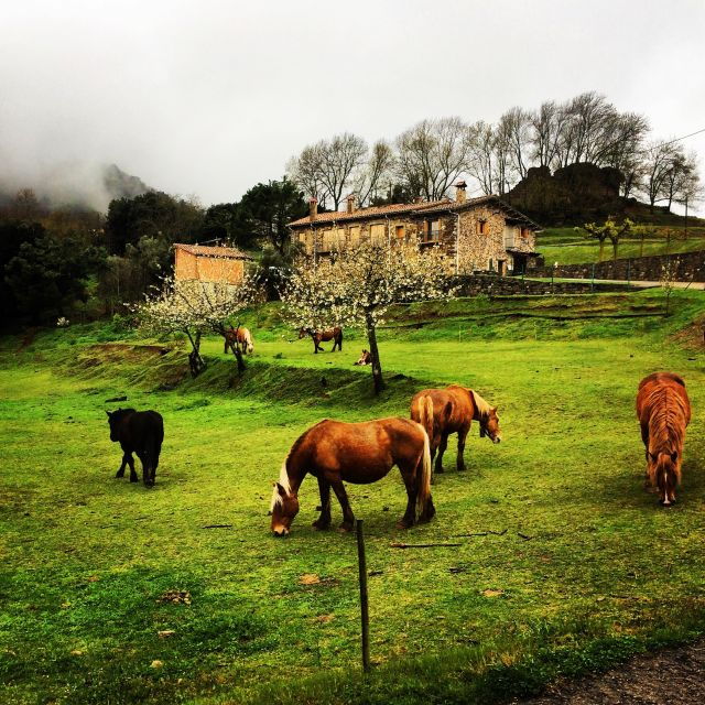 From Barcelona: Medieval Villages and Volcanic Hiking Tour - Explore Sant Joan Les Fonts