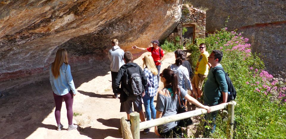 From Barcelona: Montserrat Mountain Hike and Abbey Tour - Full Description