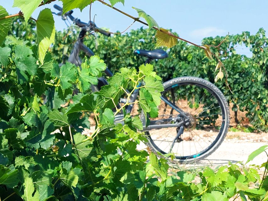From Barcelona: Penedès E-Bike Tour With 2 Winery Visits - Full Itinerary