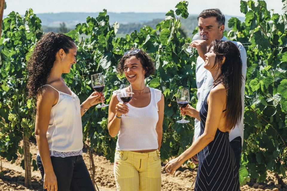 From Barcelona: Penedés Vineyards Tour by 4WD W/Wine & Cava - Winery Highlights and Learning