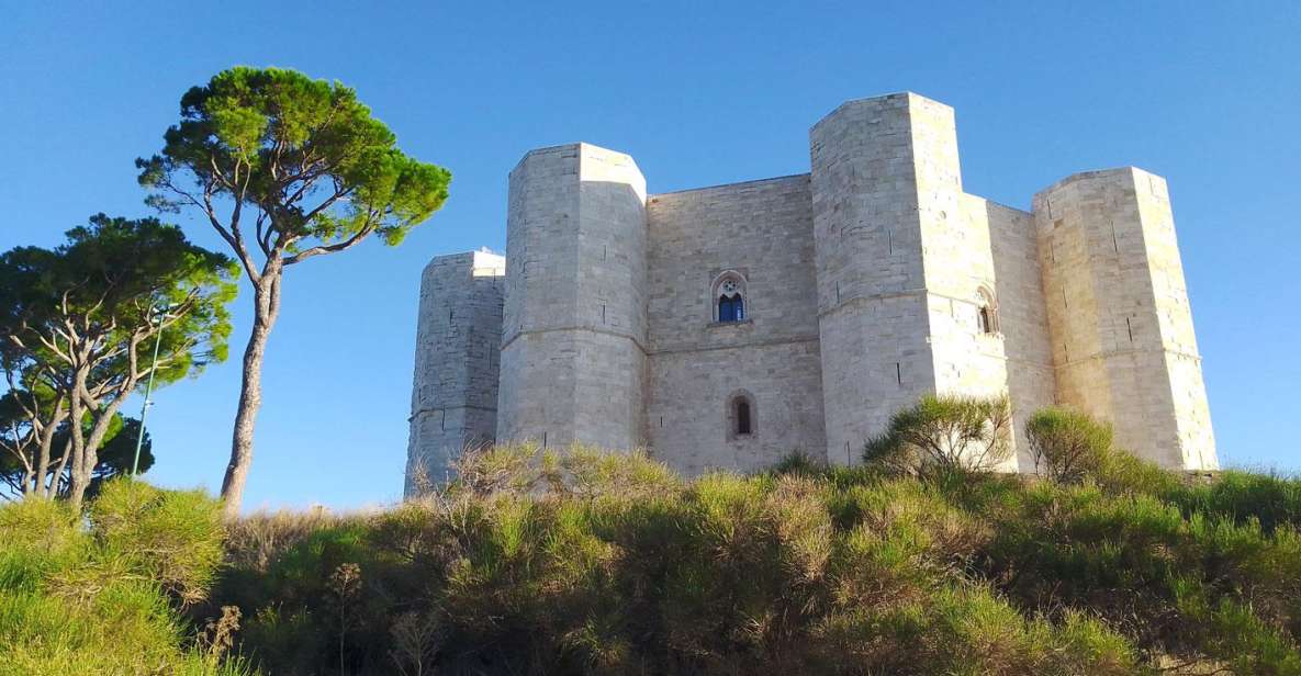 From Bari: Castel Del Monte Private Day Tour - Itinerary