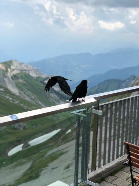 From Basel: Mt. Pilatus and Lake Lucerne Private Tour - First Discovery Experience