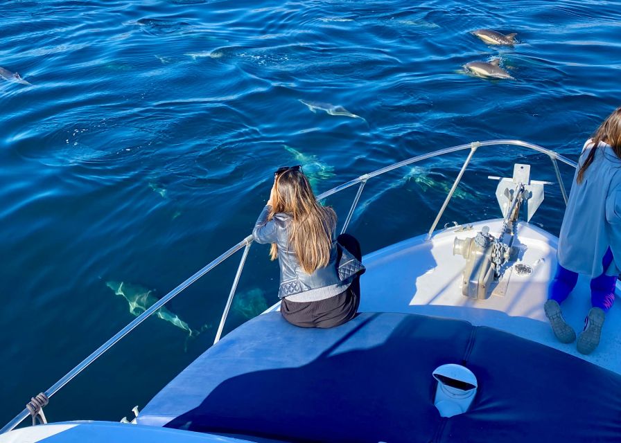 From Benalmádena & Torremolinos: Dolphin Watch Boat Trip - Customer Reviews
