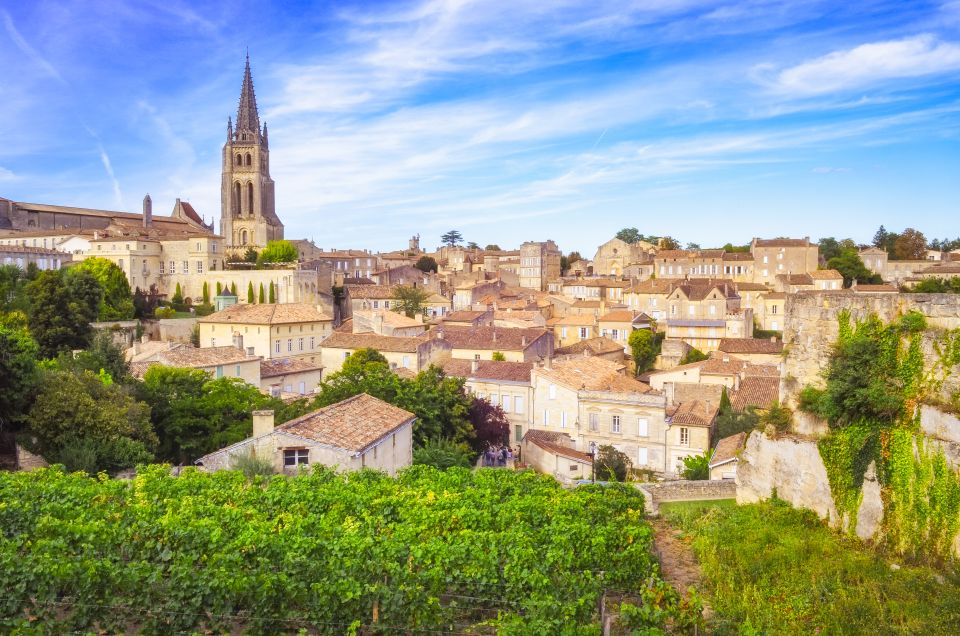From Bordeaux: St. Emilion Village Half-Day Wine Tour - Tour Description