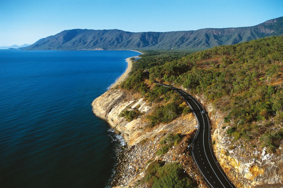 From Cairns: Daintree Wilderness & Cape Tribulation Bus Tour - Customer Reviews