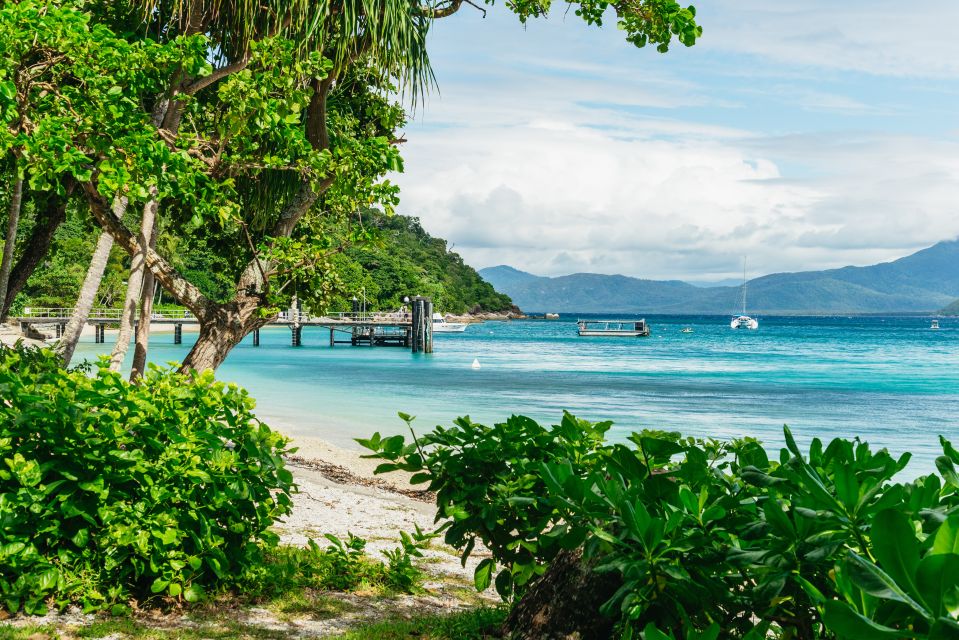 From Cairns: Fitzroy Island Full-Day Adventure Tour - Activities