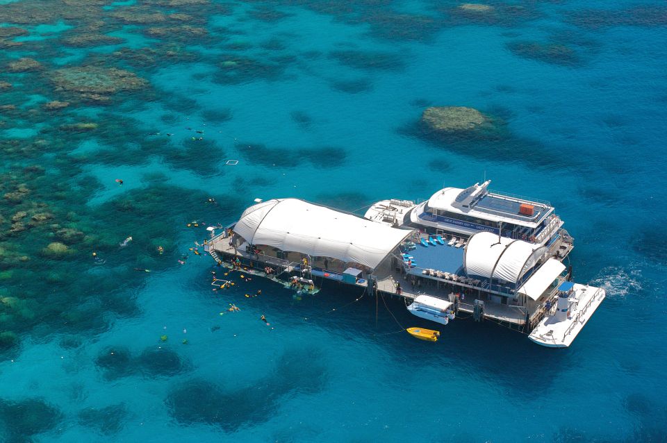 From Cairns: Great Barrier Reef Cruise and Activity Platform - Tour Inclusions