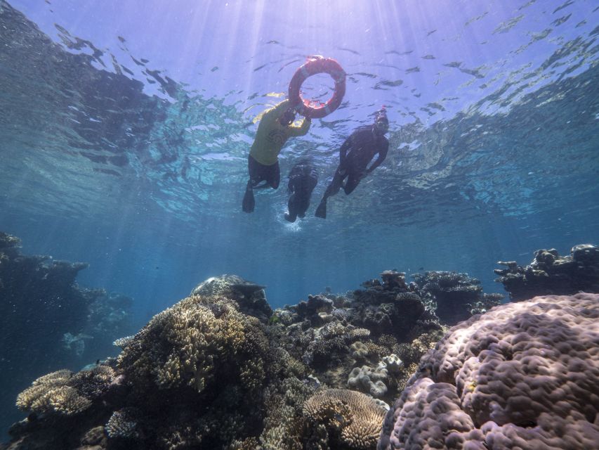 From Cairns: Great Barrier Reef Cruise by Premium Catamaran - Amenities