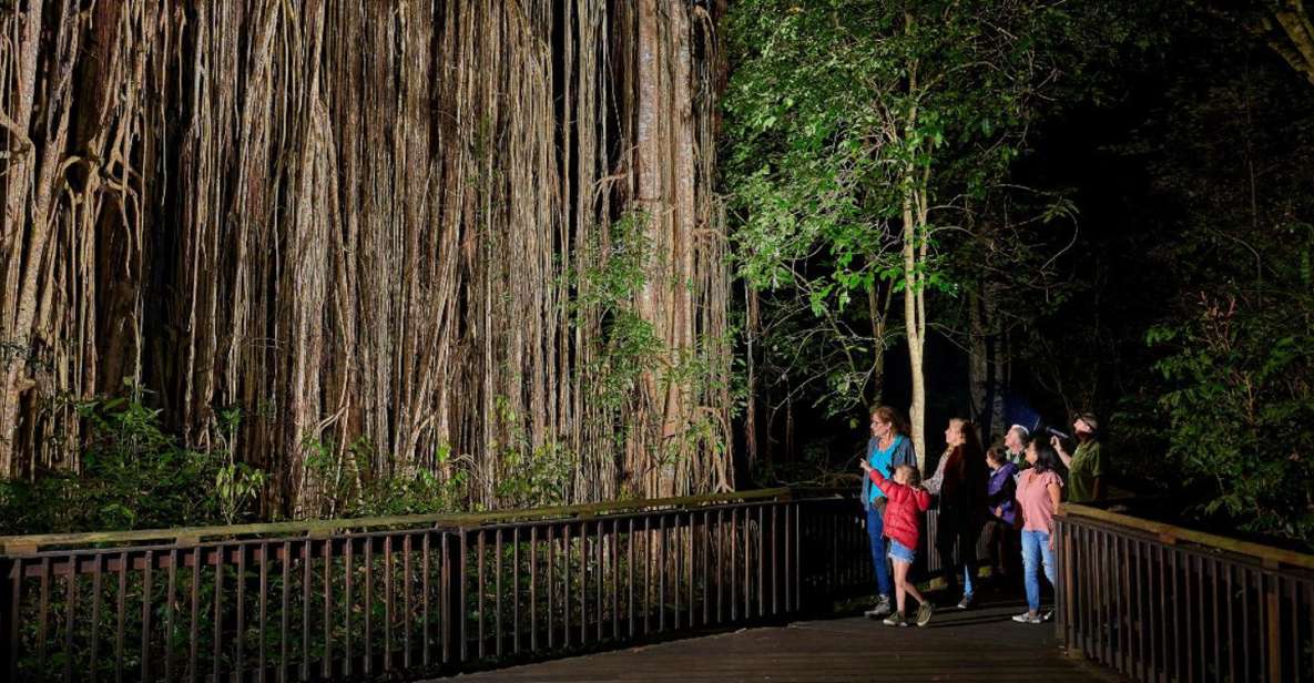 From Cairns: Rainforest & Nocturnal Wildlife Tour - Inclusions