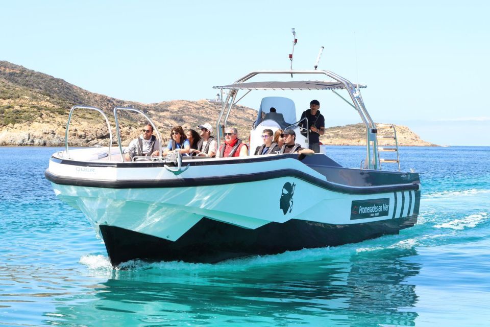 From Calvi: 2-Hour Sunset Cruise to Revellata Peninsula - Testimonials