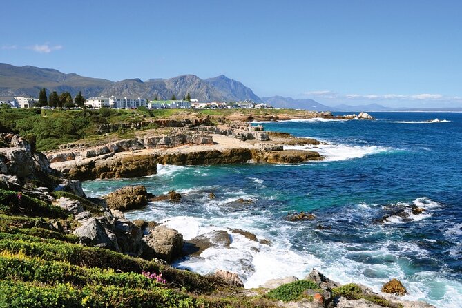 From Cape Town: Full Day Guided Hermanus Explorer Tour - Transportation Details