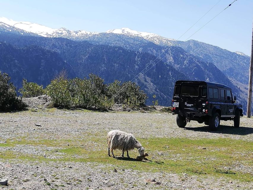 From Chania: White Mountains Land Rover Safari - Important Information