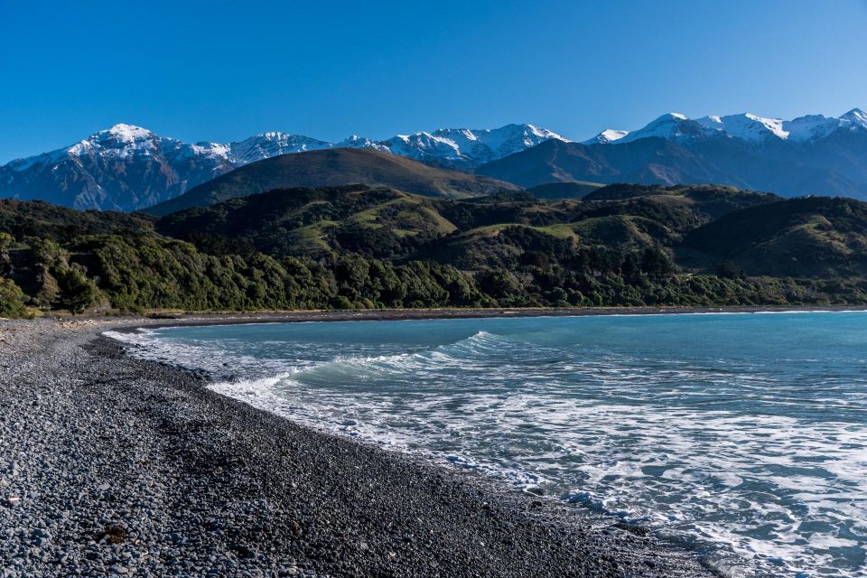 From Christchurch: Kaikoura Day Tour With Dolphin Cruise - Common questions