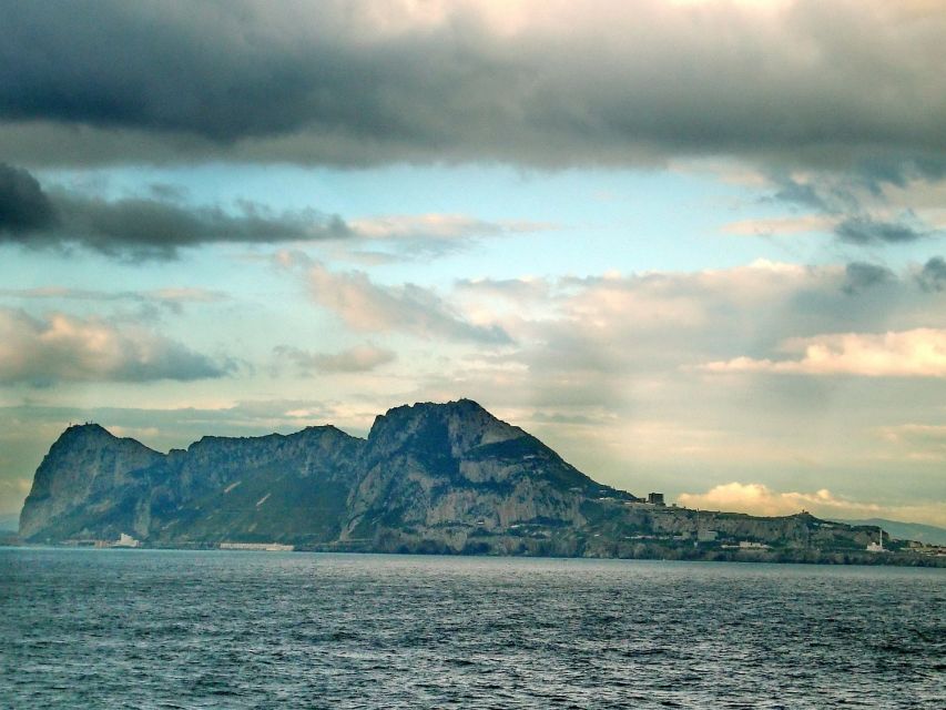 From Costa Del Sol: Gibraltar Dolphin Watching by Boat - Full Description