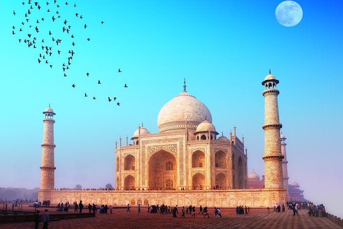 From Delhi: Taj Mahal and Agra Fort Day Tour By Car - Sightseeing Highlights